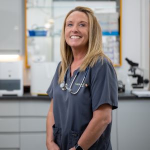 The Pet Vet Doncaster Vets Doncaster 01302 325608 The Pet Vet