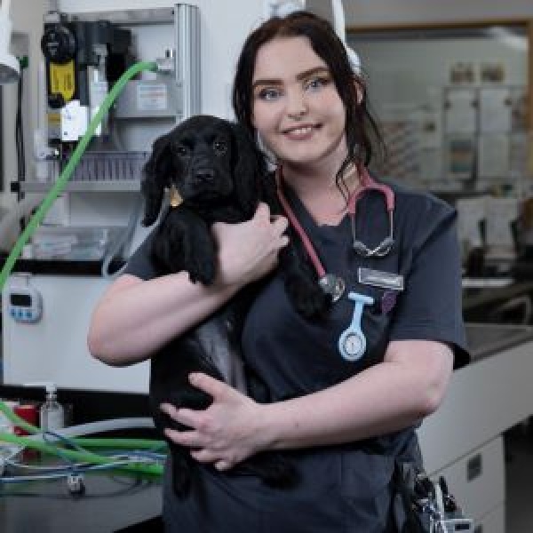 The Pet Vet Barnsley Vets Barnsley 01226 297125 The Pet Vet