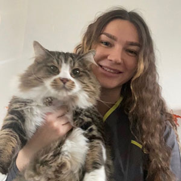 The Pet Vet Barnsley Vets Barnsley 01226 297125 The Pet Vet