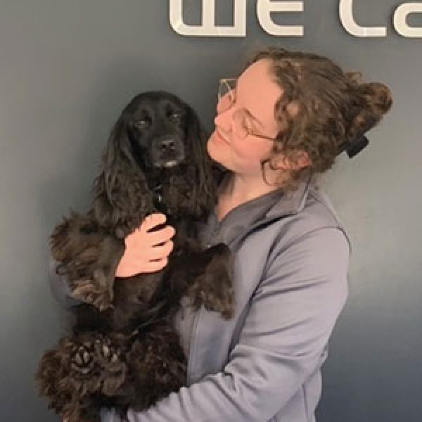 The Pet Vet Barnsley Vets Barnsley 01226 297125 The Pet Vet