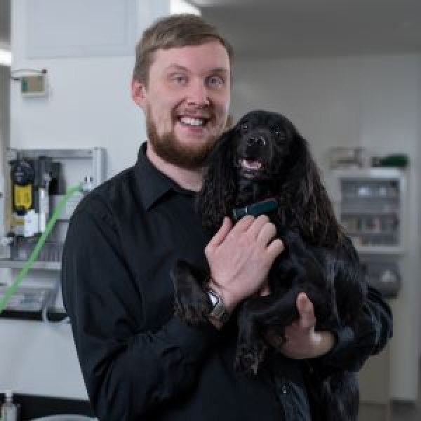 The Pet Vet Barnsley Vets Barnsley 01226 297125 The Pet Vet