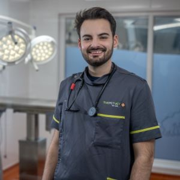 The Pet Vet Rotherham Vets Rotherham 01709 854333 The Pet Vet