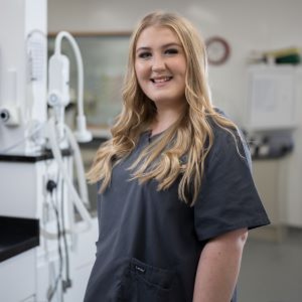 The Pet Vet Barnsley Vets Barnsley 01226 297125 The Pet Vet