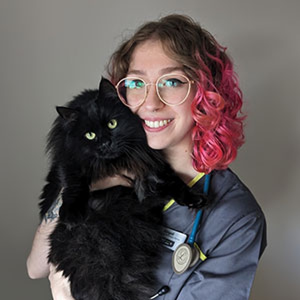 The Pet Vet Rotherham Vets Rotherham 01709 854333 The Pet Vet