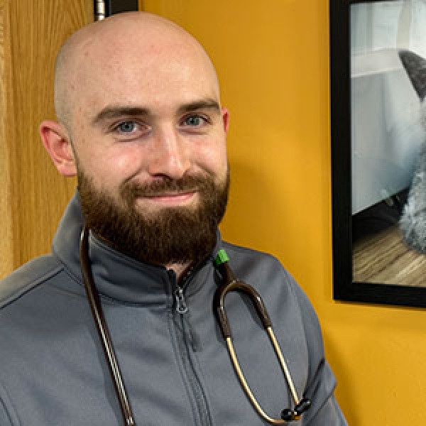 The Pet Vet Rotherham Vets Rotherham 01709 854333 The Pet Vet