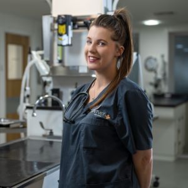 The Pet Vet Rotherham Vets Rotherham 01709 854333 The Pet Vet