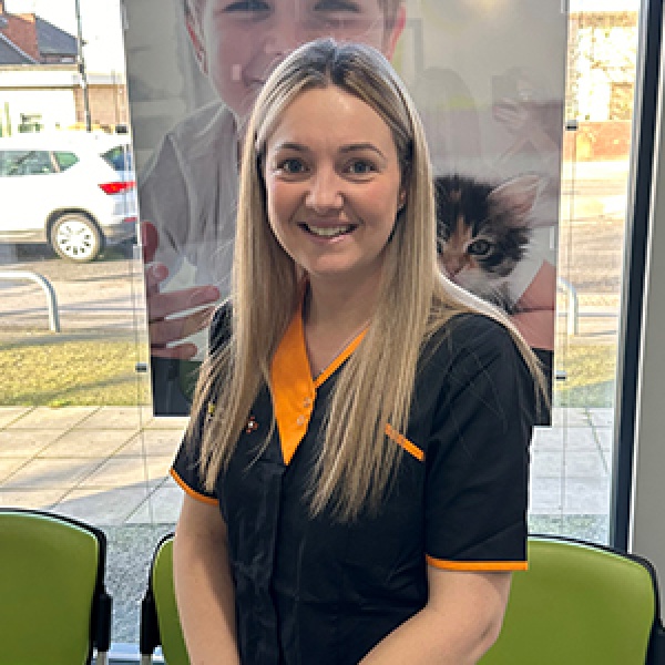 The Pet Vet Rotherham Vets Rotherham 01709 854333 The Pet Vet