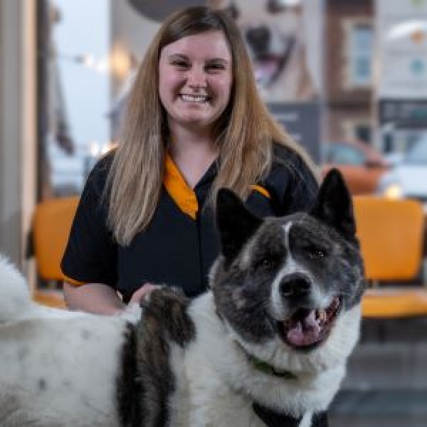 The Pet Vet Doncaster Vets Doncaster 01302 325608 The Pet Vet