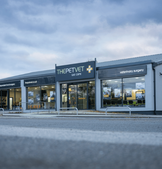 Vets for Pets Rotherham Vets for Pets Rotherham