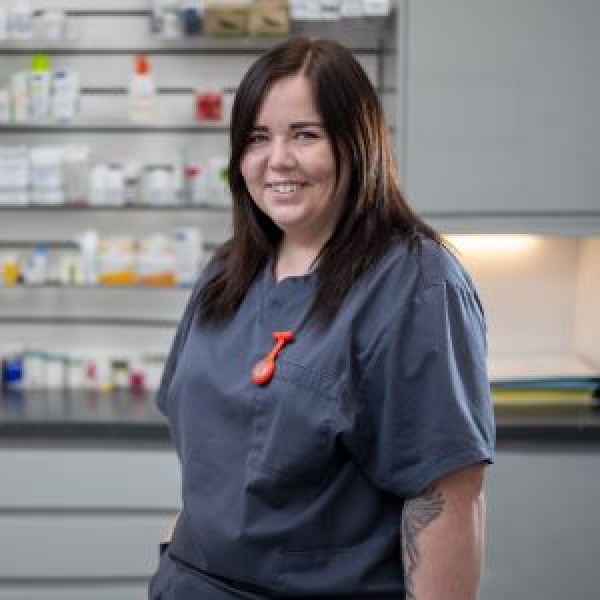 The Pet Vet Doncaster Vets Doncaster 01302 325608 The Pet Vet