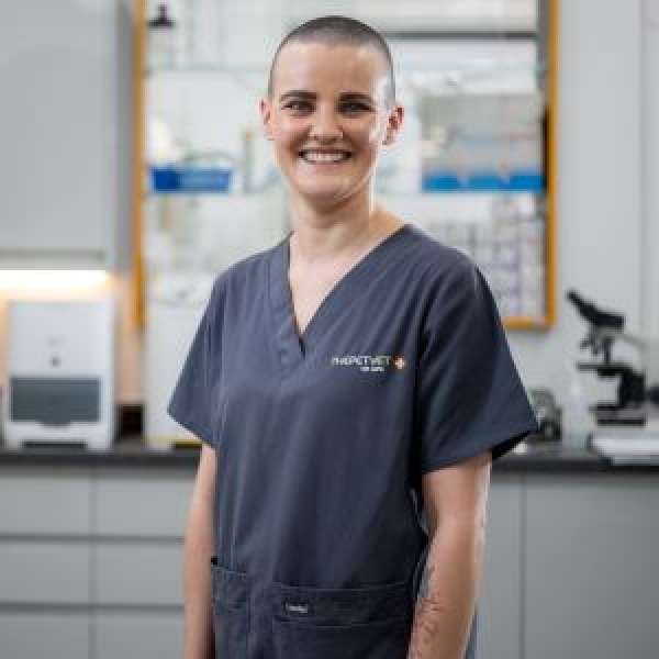 The Pet Vet Doncaster Vets Doncaster 01302 325608 The Pet Vet