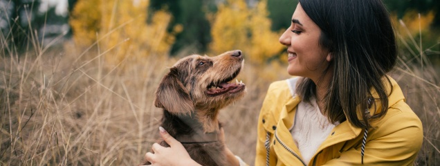 Pet vet hotsell