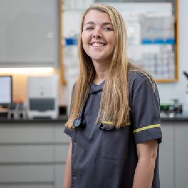 The Pet Vet Doncaster Vets Doncaster 01302 325608 The Pet Vet