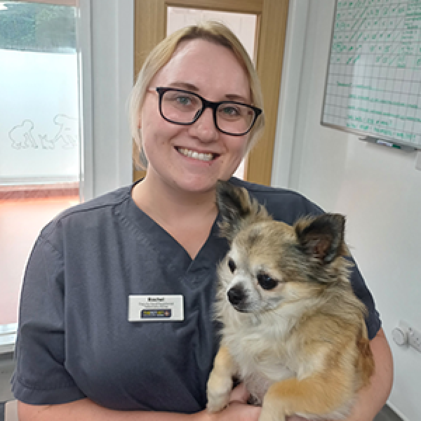 The Pet Vet Rotherham Vets Rotherham 01709 854333 The Pet Vet