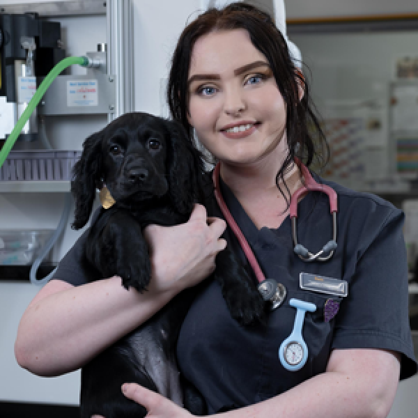 The Pet Vet Barnsley Vets Barnsley 01226 297125 The Pet Vet