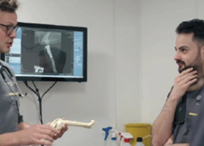 The Pet Vet launches enhanced EMS sponsorship programme to support future veterinary professionals