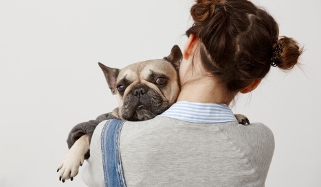 Spring into safety: a Vet’s guide to common spring pet poisons