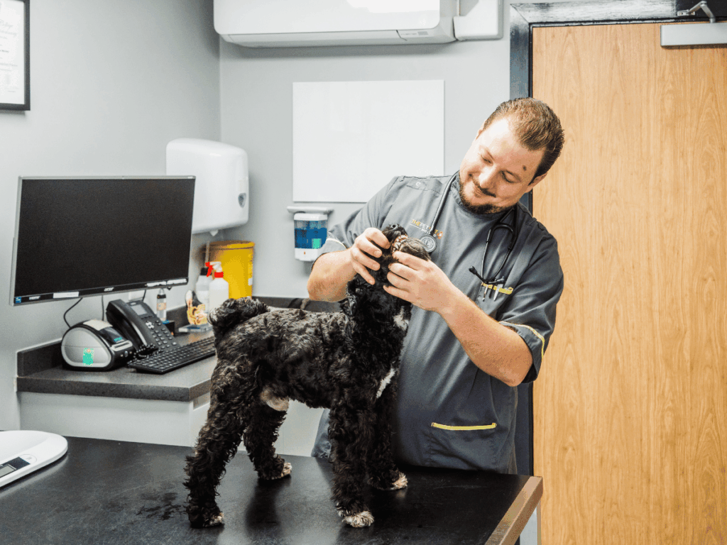 Doncaster - The Pet Vet