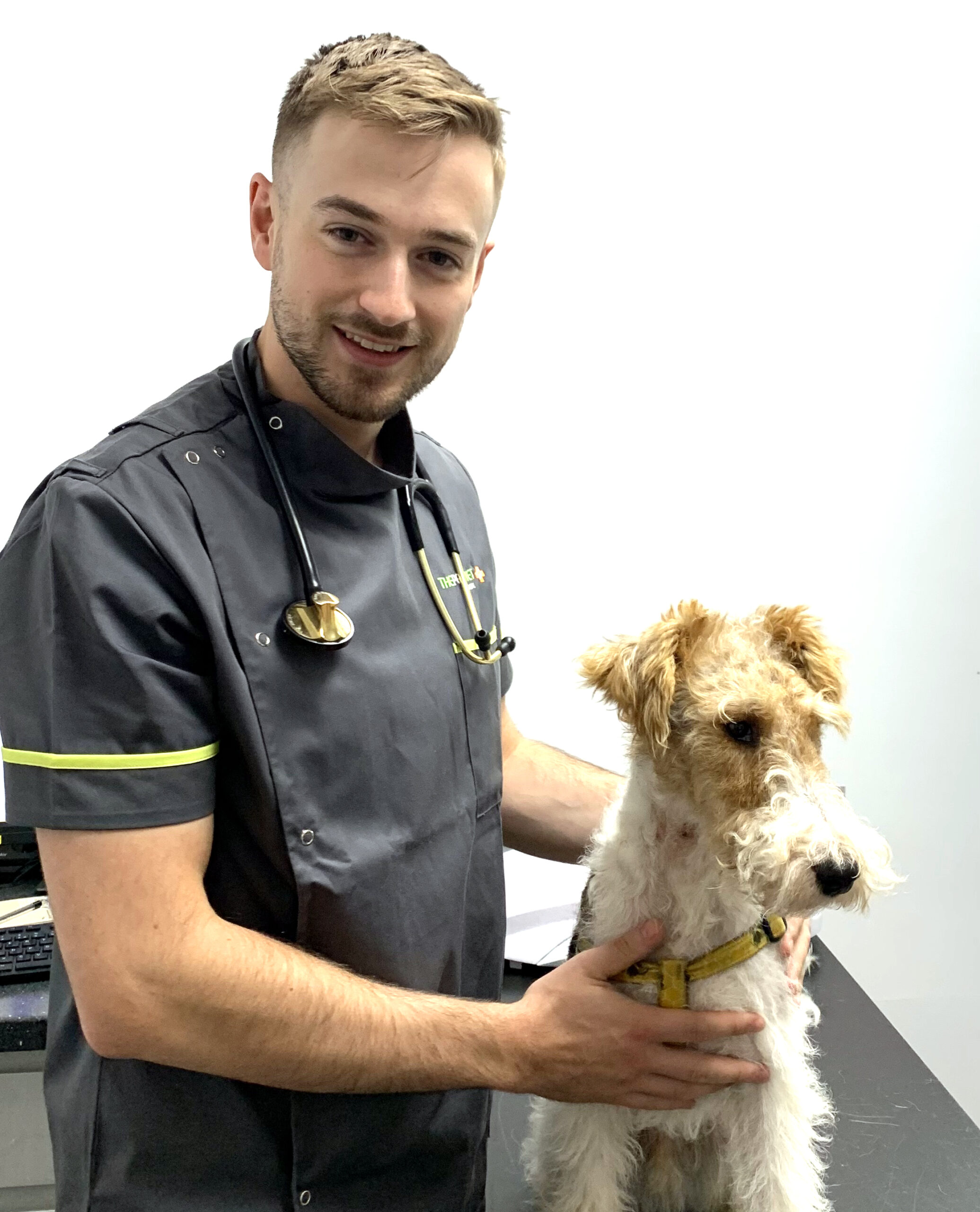 Fundraising Walks for Ukraine at The Pet Vet & The Vet
