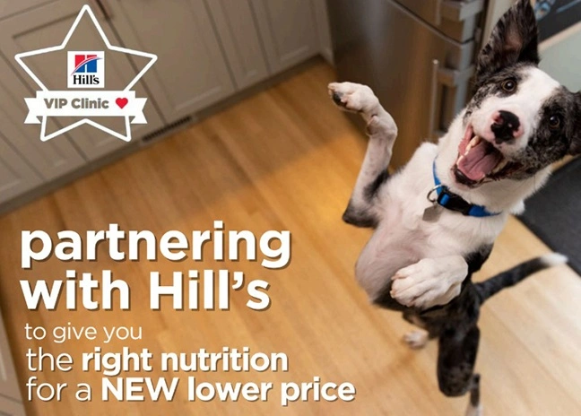 Hill’s’ VIP programme at The Pet Vet