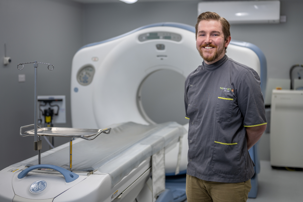 Student and Graduate Opportunities at The Pet Vet