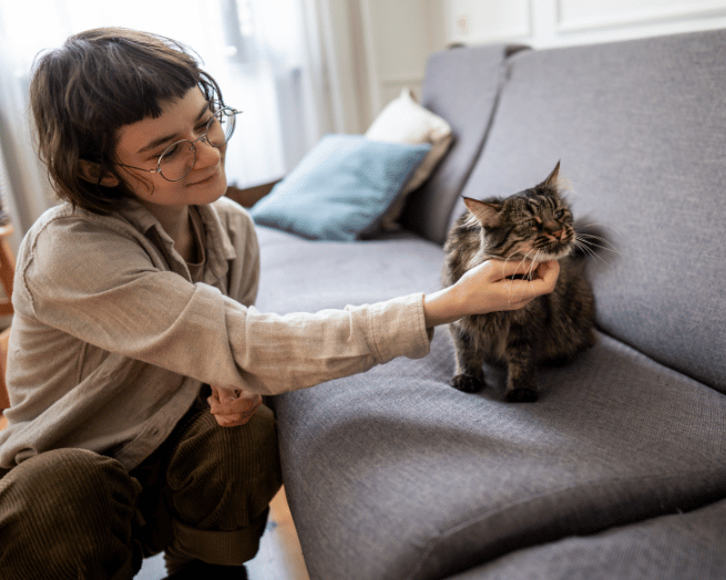 How to help your rescue cat settle into their new home