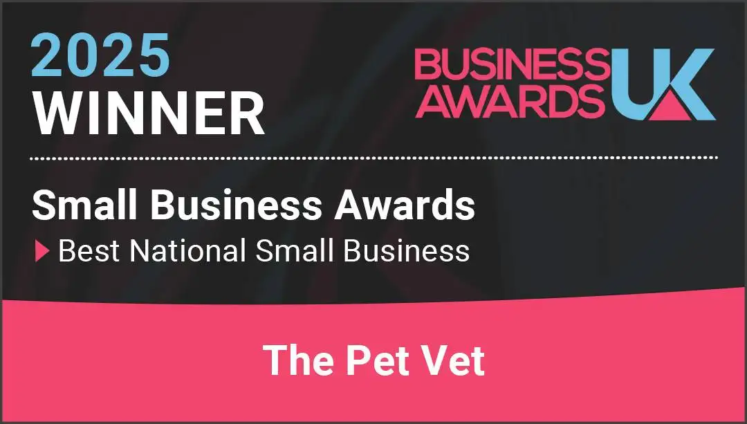 Winners of the 2025 Best National Small Business award