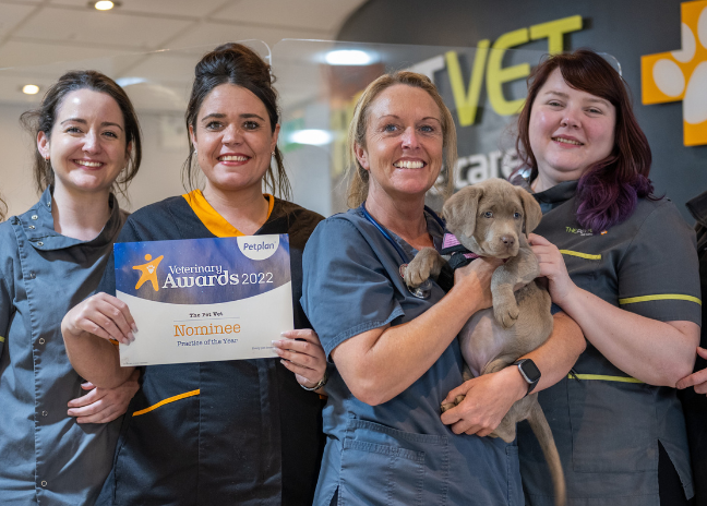 Petplan Veterinary Awards Nominees at The Pet Vet