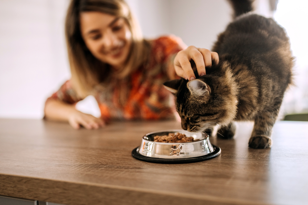 What pet food should I buy?