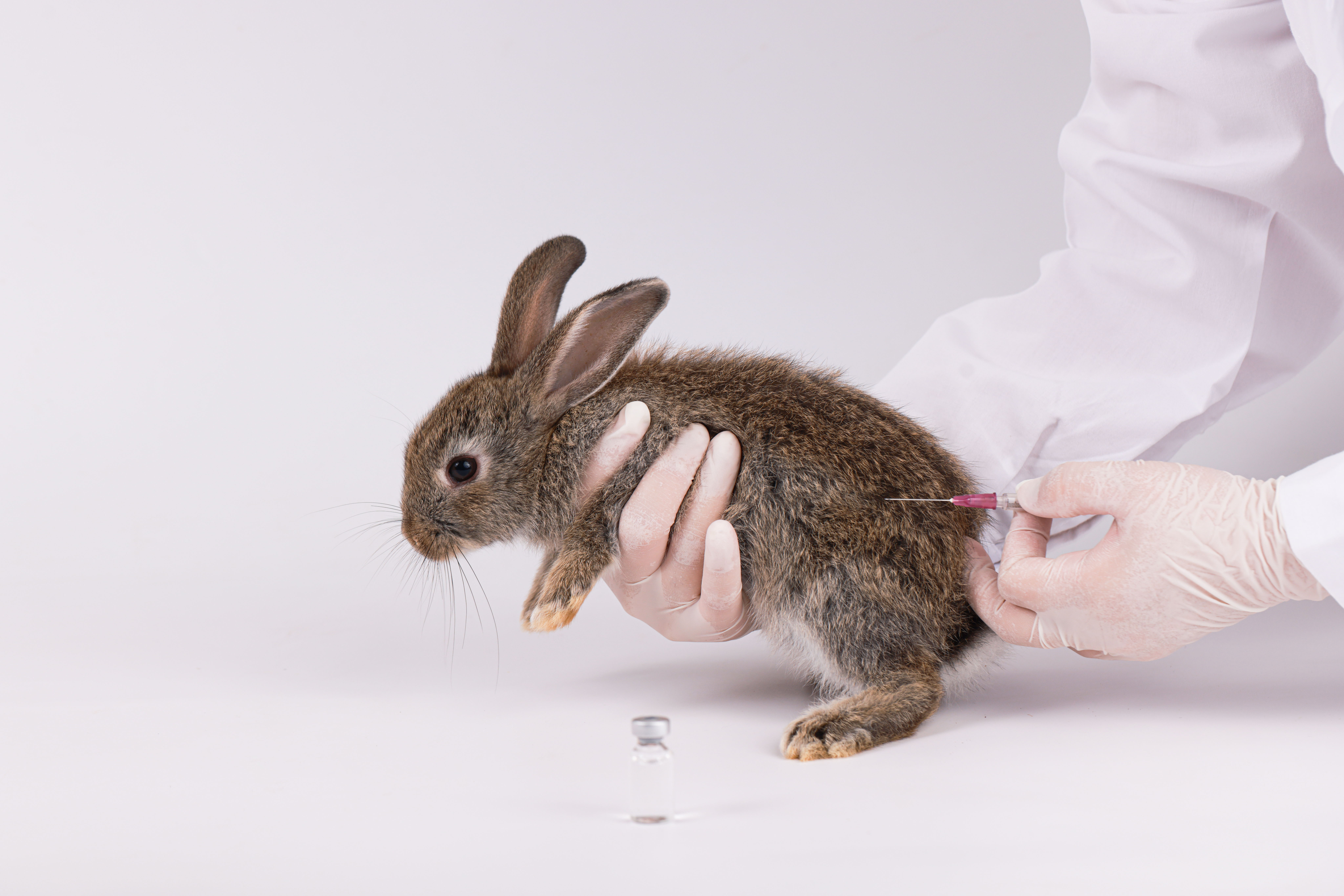 Does my pet need vaccinating?