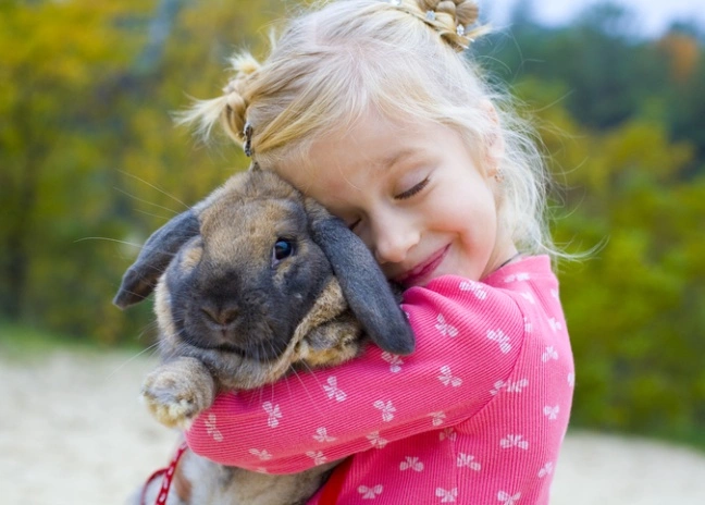 Keeping your rabbit healthy and hoppy