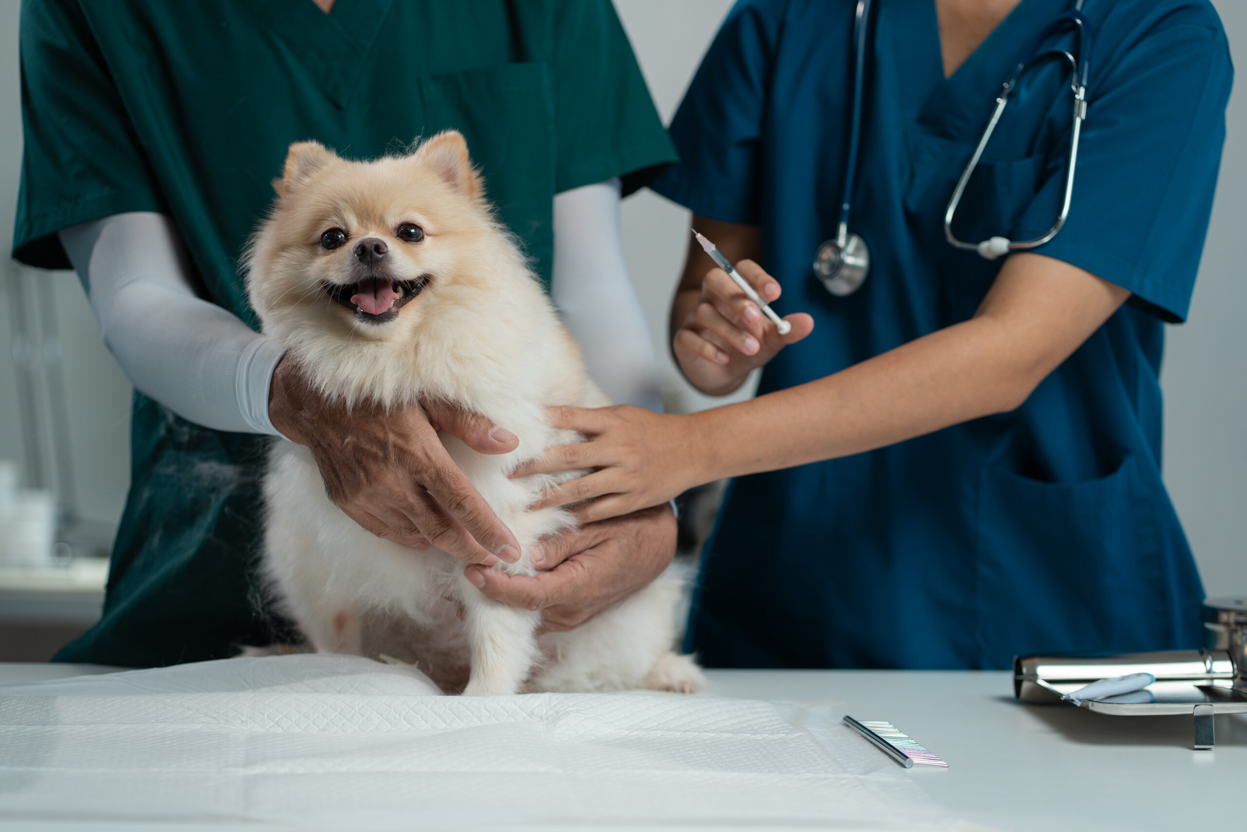 Does my pet need vaccinating?