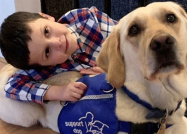 Support Dogs are The Pet Vet’s Charity of the Year for 2025!