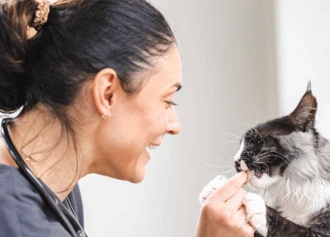 The Pet Vet partners with Blue Cross to support pets in need