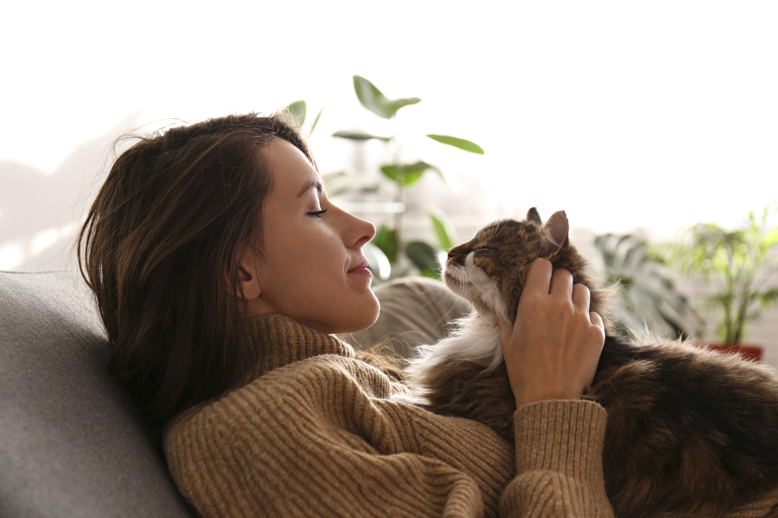 DIY pet health check